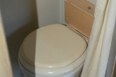 Toilet seems functional.